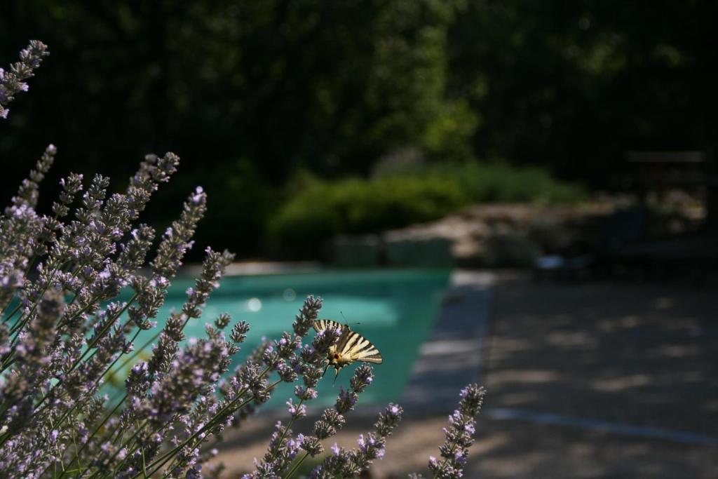 La Villa Des Pins Verrieres  Εξωτερικό φωτογραφία