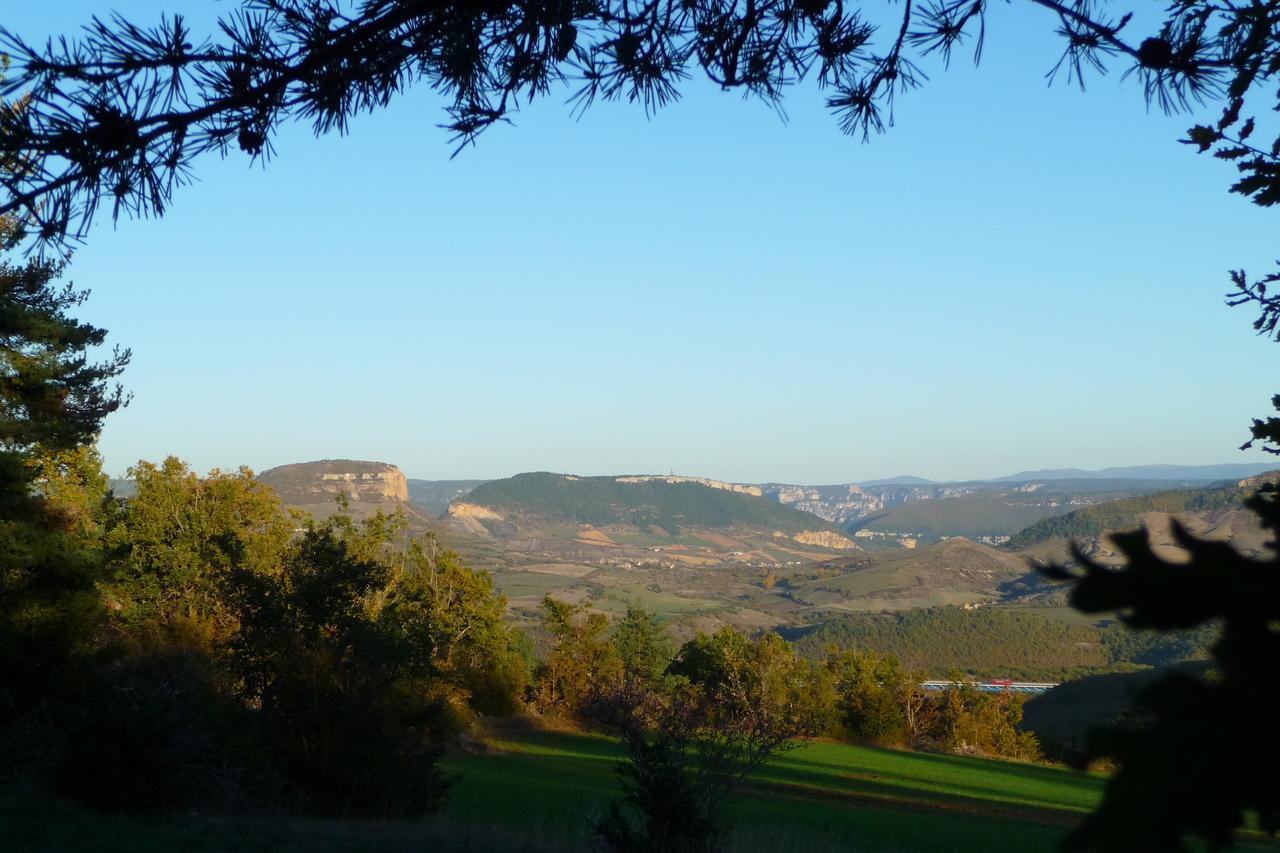 La Villa Des Pins Verrieres  Εξωτερικό φωτογραφία